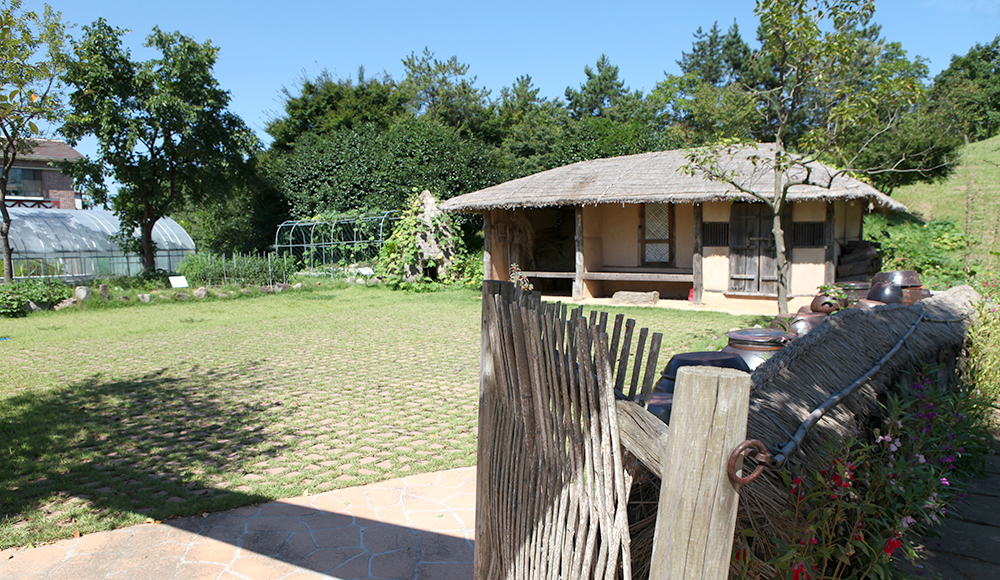 Thatched house