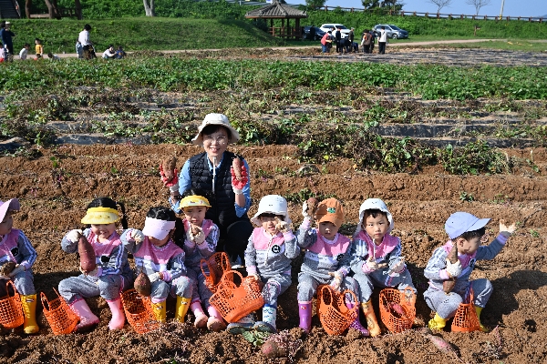 고구마 체험 행사 대표이미지