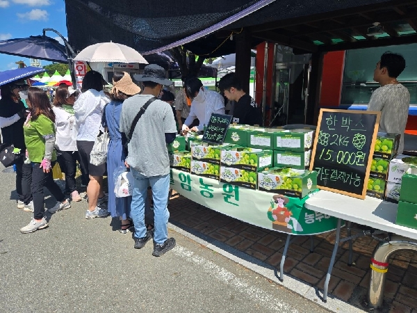 2025영암 무화과 축제와 함께한 주말농부장터  대표이미지