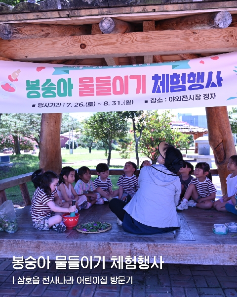 삼호읍 원생 봉선화 체험 대표이미지