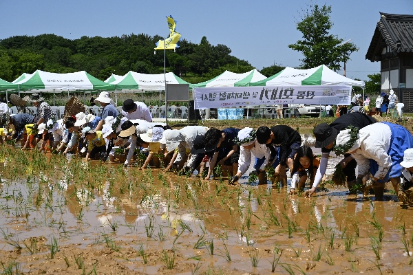 2026년 전통 모내기 및 생태체험 행사 대표이미지