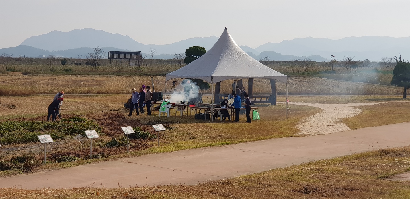 가을들녘 수확 체험 첨부 이미지