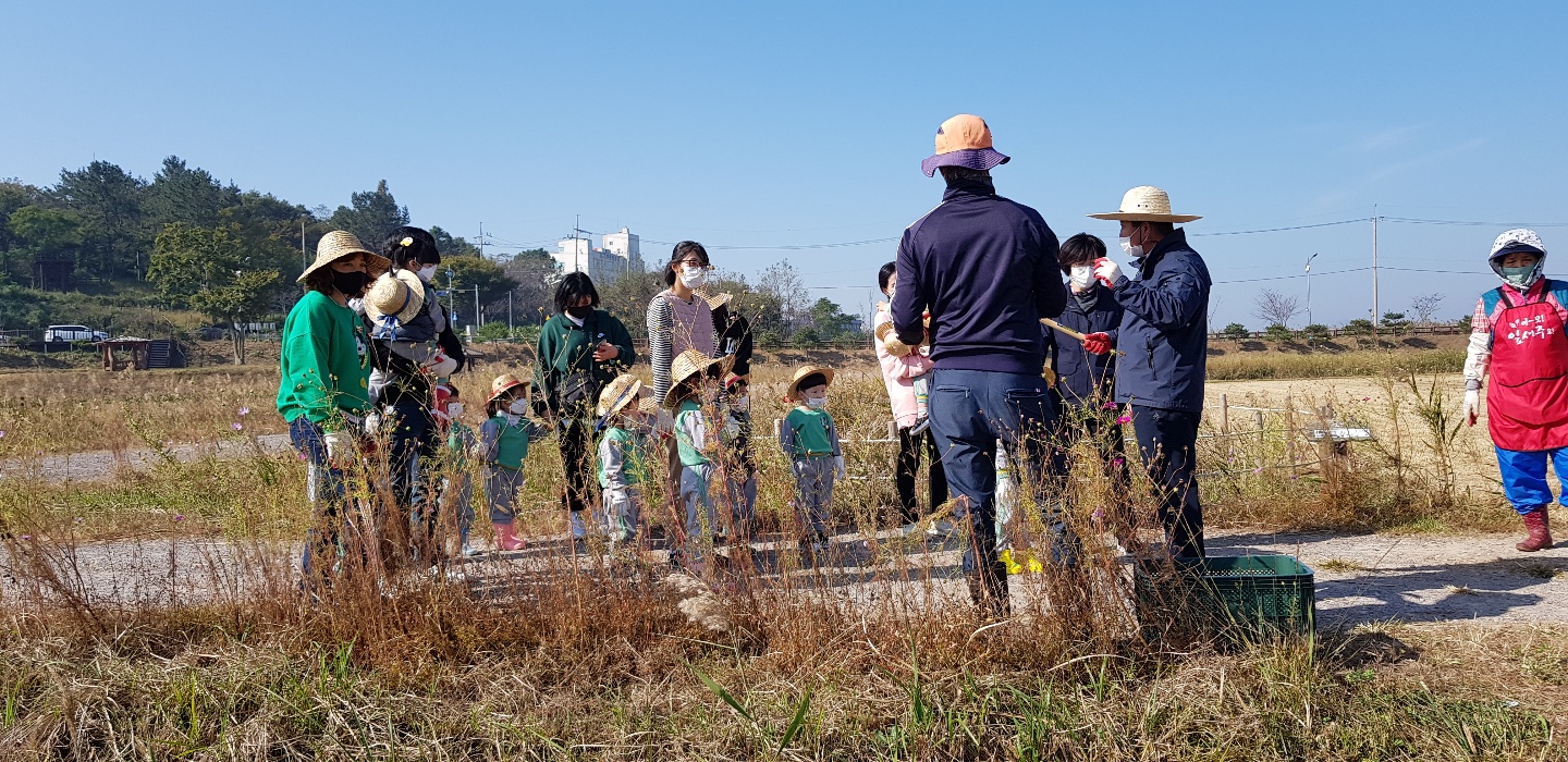 가을들녘 수확 체험 첨부 이미지