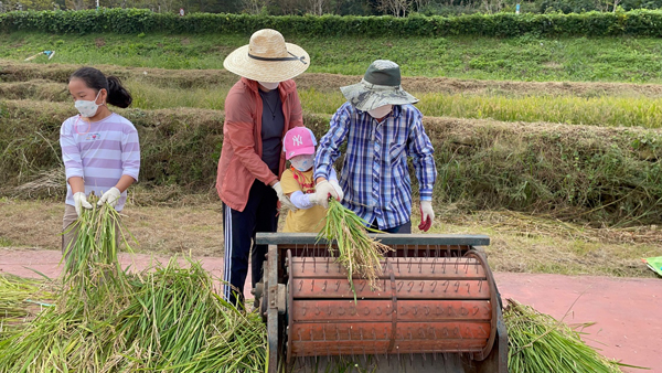 가을들녘 수확 체험 첨부 이미지
