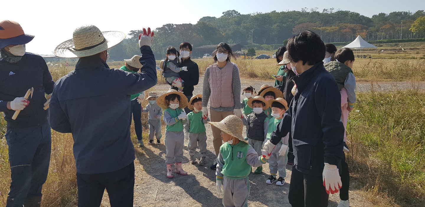 가을들녘 수확 체험 첨부 이미지