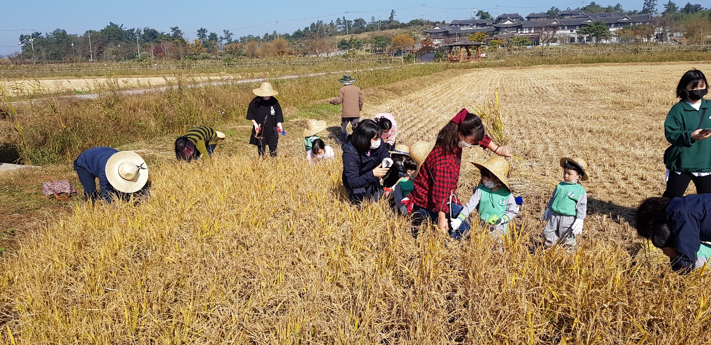가을들녘 수확 체험 첨부 이미지