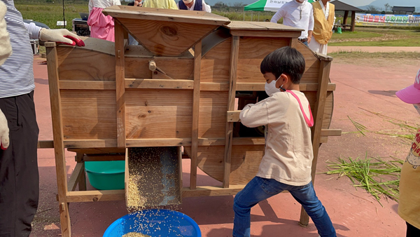 가을들녘 수확 체험 첨부 이미지